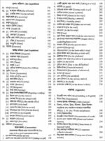 র‌্যাপিডেকস ইংলিশ স্পিকিং কোর্স - Image 3